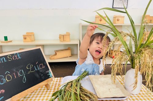 Ứng dụng Montessori